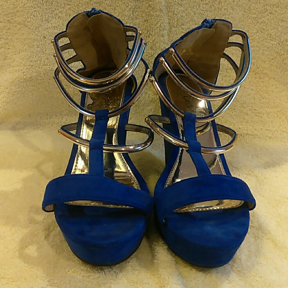 Blue and gold wedges